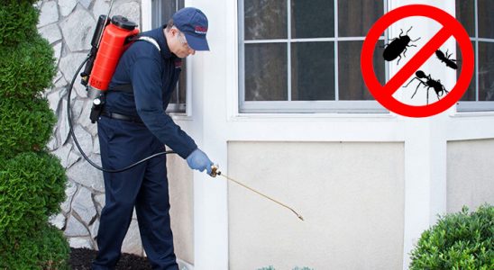 Dazkırı Böcek ve Haşere İlaçlama böcek ilaçlama ve haşere kontrolü — ilaclama-tr.com